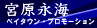 宮原永海ベイタウンプロモーション