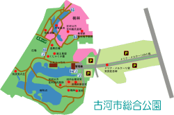 古河市総合公園