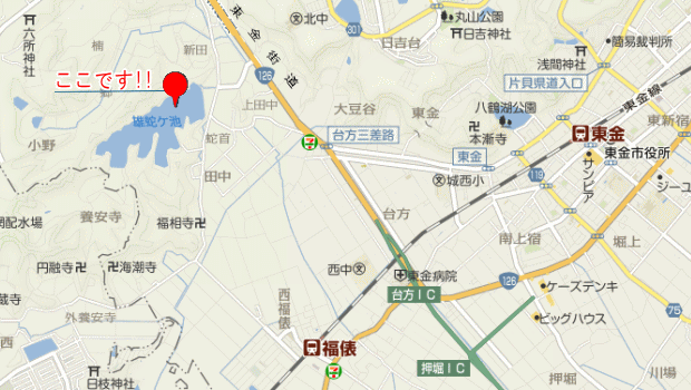 雄蛇ケ池の地図