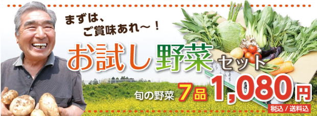 お試し野菜セット